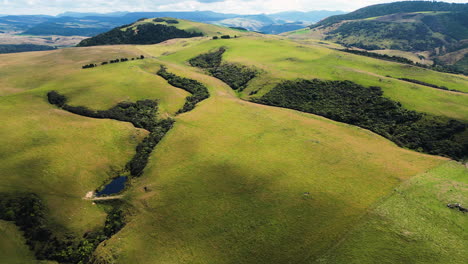 baía de parakanui vasta paisagem de colinas verdes e natureza