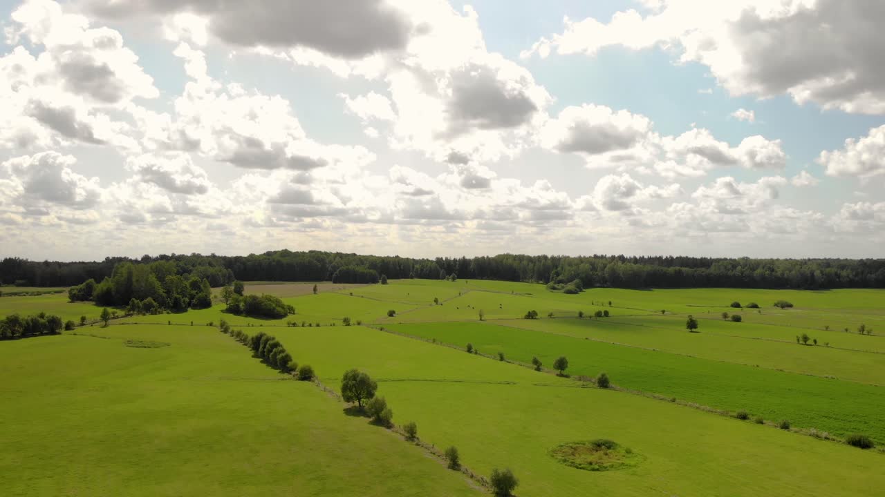 Imágenes aéreas sobre un prado verde, el cielo es azul con nubes blancas, debajo hay hierba verde, árboles y algunos senderos, Polonia Oriental
