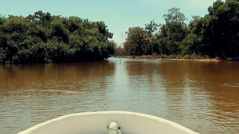 Fisherman-boat-coming-from-a-narrow-canal-between-the-mangroves