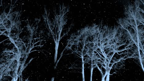 dark winter night background