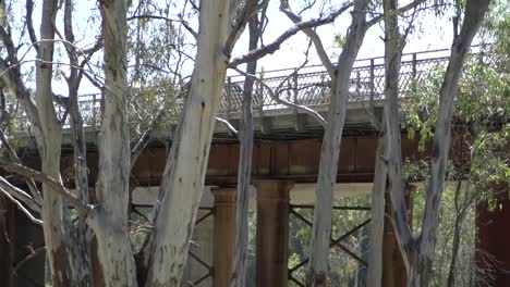 coches de naturaleza al aire libre en el puente en la naturaleza