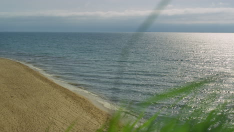 vista aérea de la costa vacía de la playa. la hierba sopla el viento por las olas del océano.