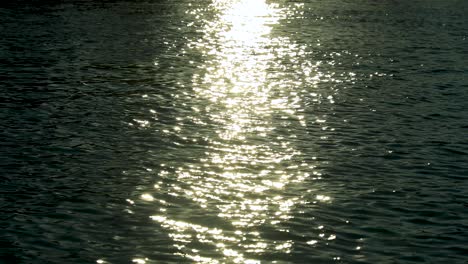 Swimming-pool,-sunset,-sun-reflection-in-water