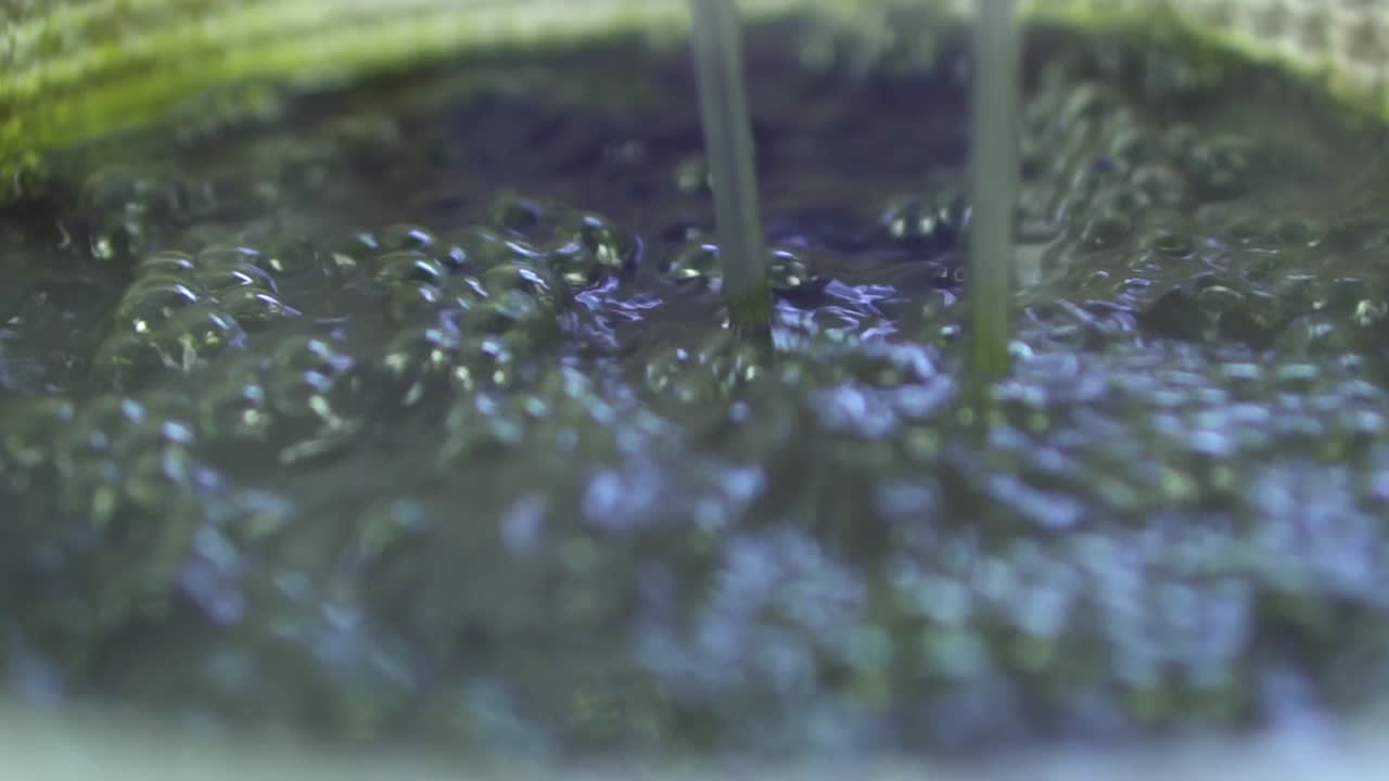 대마초 식물 액체를 추출하여 cbd 오일을 생산하는 과정