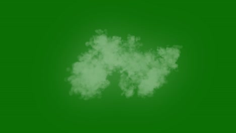 solid green background