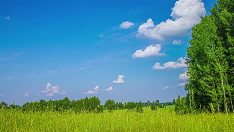 fluffy clouds form and dissipate above a countryside meadow on a windy day - static time lapse