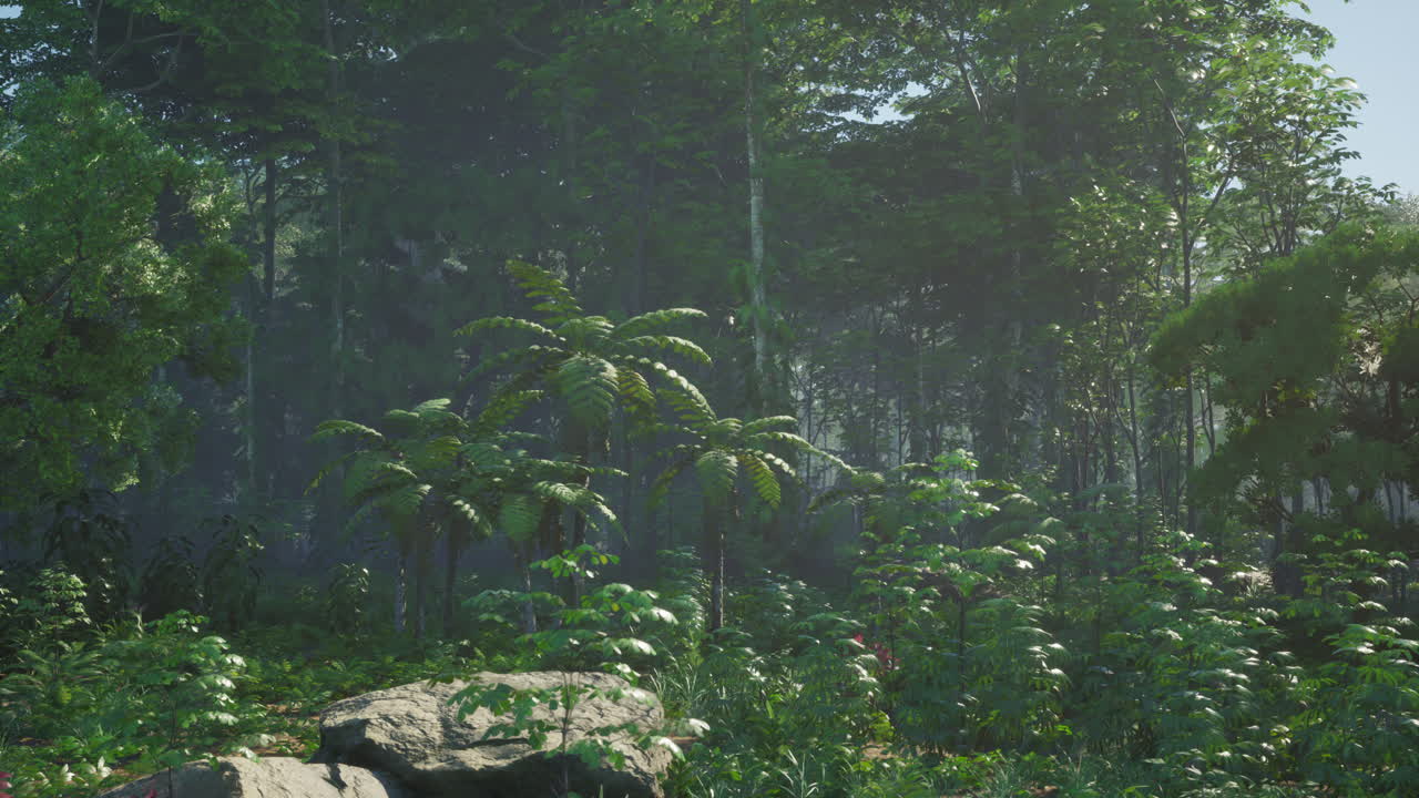 은 정글을 가로질러 빛나는 빛