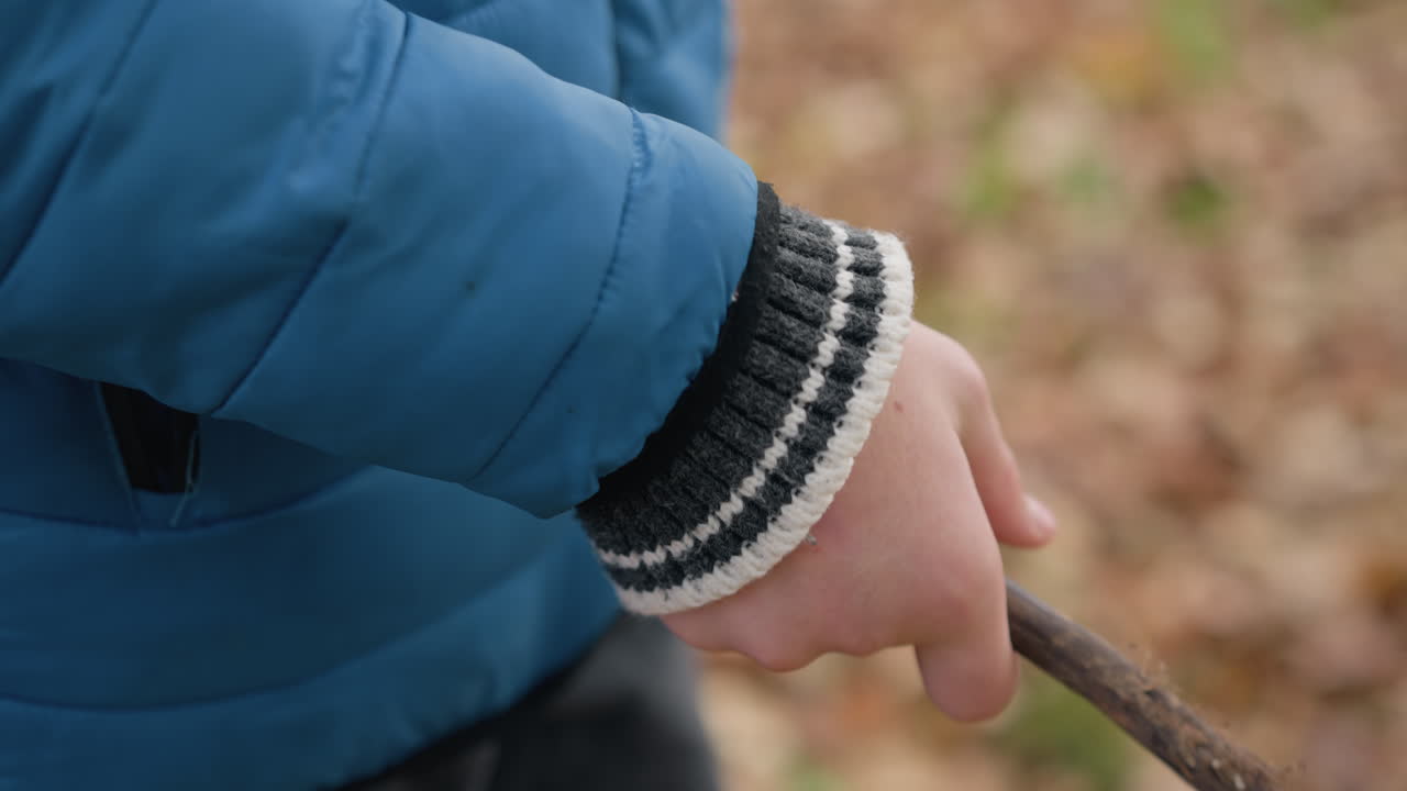 파란색 재과 줄무 스웨터 프를 입고 은 가을 잎자루를 배경으로 건조한 지이를 잡고 회전하는 아이의 손의 클로즈업