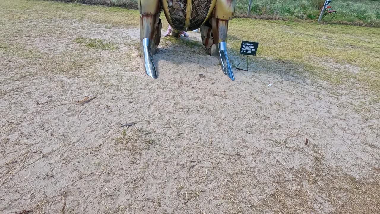 una estatua de coche canguro en exhibición en la playa