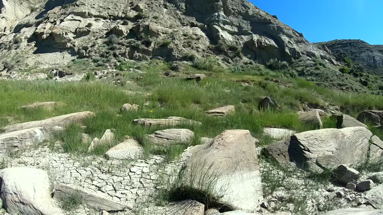 Rocks, grass,  and a mountain on a sunny day at Sandy Point Alberta Canada.
