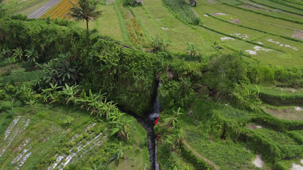 sistema de canales de riego en los campos agrícolas de paso, bali