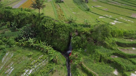 irrigation canal system in step farming fields, bali