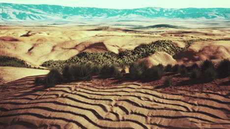 desert landscape in crater national park