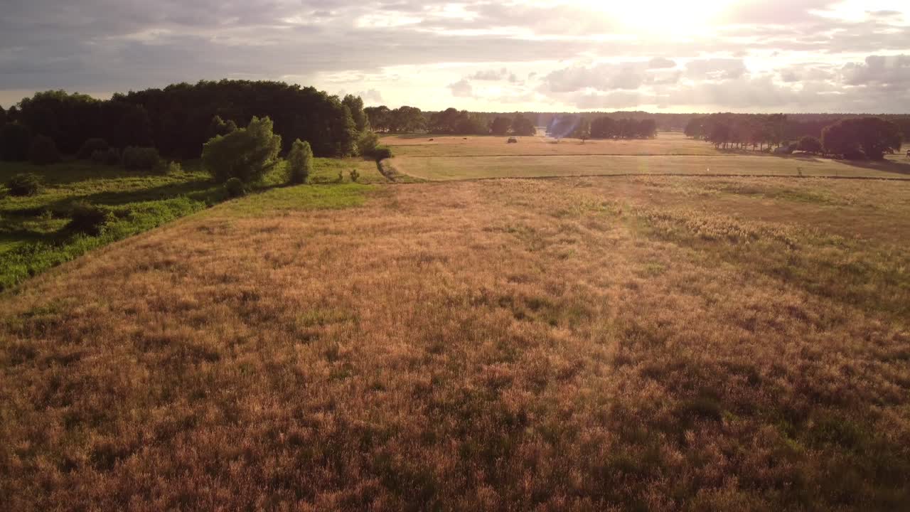 Sunset about Wieck village on the peninsula Fischland-Dar&szlig;-Zingst, viewed from a launching drone over a cattle pasture