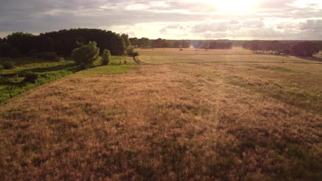 Sunset-about-Wieck-village-on-the-peninsula-Fischland-Darß-Zingst,-viewed-from-a-launching-drone-over-a-cattle-pasture