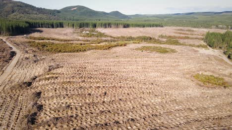 Expansive,-vast-deforested-area-with-mountains-and-forests-in-background-underneath-clear-blue-evening-sky