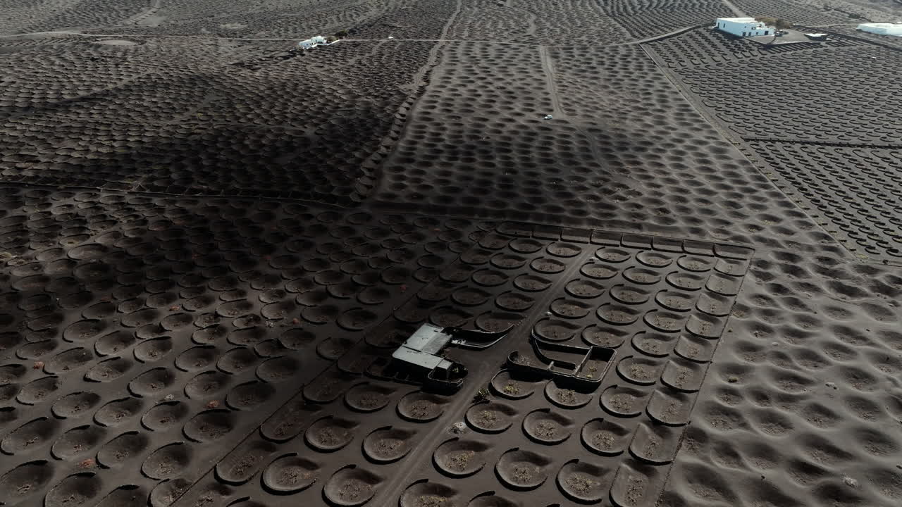 Aerial View of Volcanic Vineyard Landscape