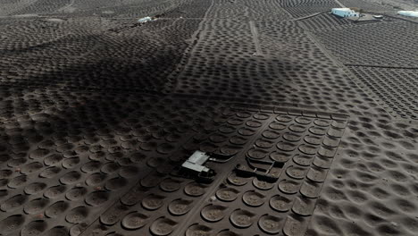 aerial view of volcanic vineyard landscape