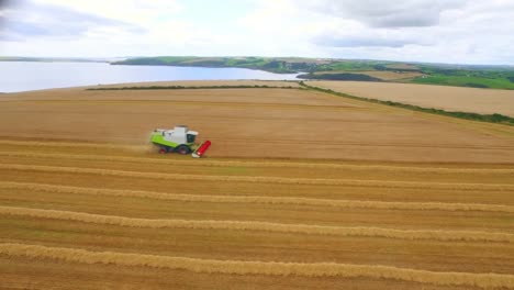 Drone-footage-of-golden-fields-and-combine-harvester