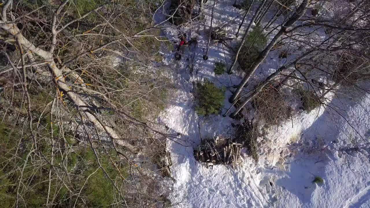 vista aérea, de arriba hacia abajo de un carpintero en el bosque en la nevada escandinavia