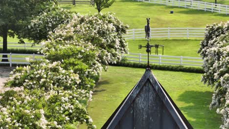 experience a tranquil moment in the countryside as a bird finds solace atop the wind vane of a picturesque white barn