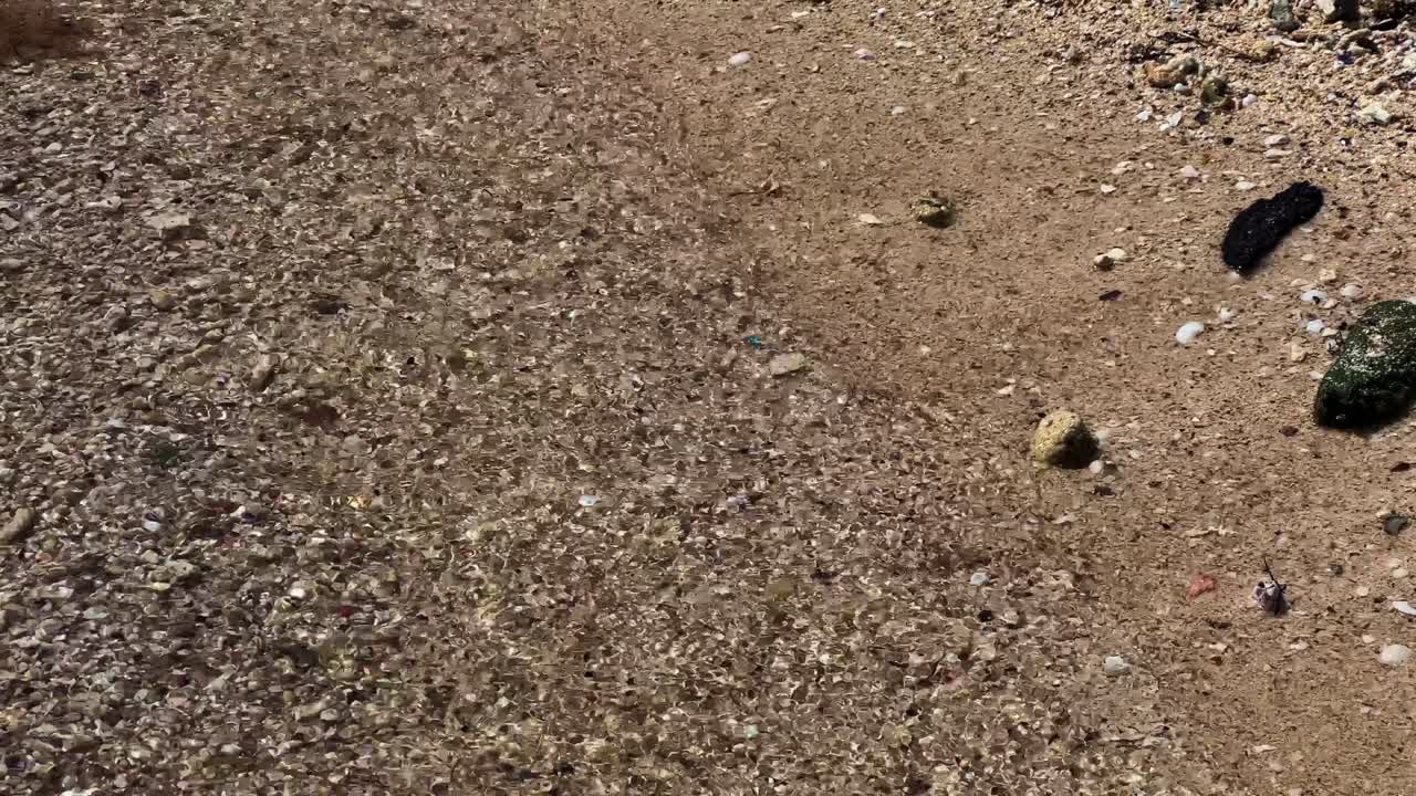 agua cristalina y arena en la playa del mar rojo cerca de hurghada cerca del arrecife de coral