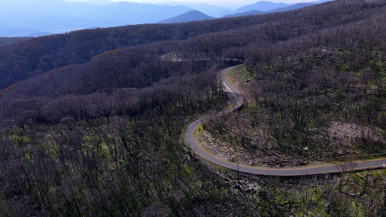 carretera de montaña sinuosa en el parque nacional de kosciuszko, nueva gales del sur, australia - toma aérea de un dron