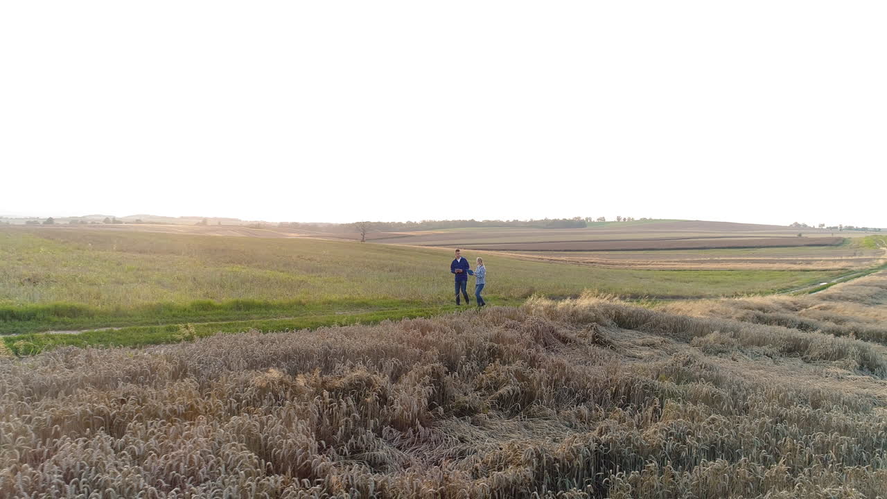 옥수수 밭에서 토론하는 젊은 농부들 21