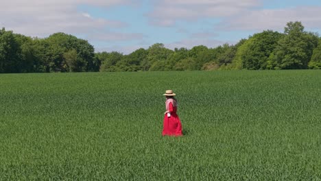 A cinematic footage capturing a parallel movement of a woman in a red dress walking through green grass