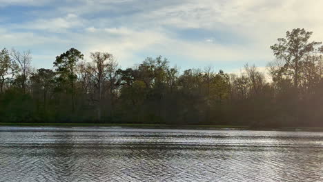 wide shot of jet ski driving by on river and wake with trees in background