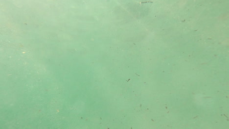 películas bajo y sobre el agua