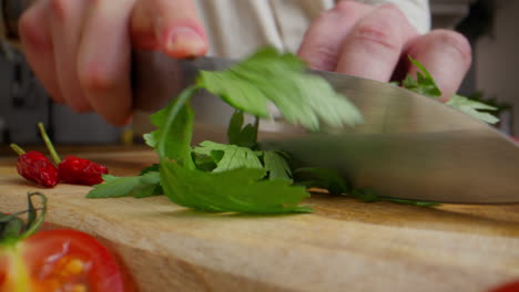 chopping parsley and other ingredients