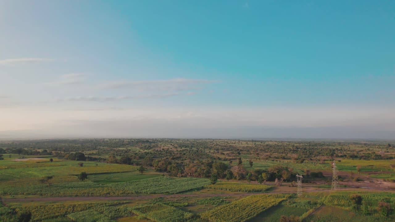 granja de girasol durante la puesta de sol con hojas verdes exuberantes en una granja en áfrica
