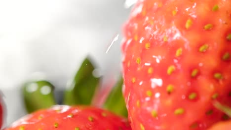 extreme closeup pouring fresh water on organic strawberries, slow motion shot