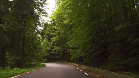 conduzca a través de un bosque por una carretera estrecha y sinuosa, montañas de bucegi, rumania