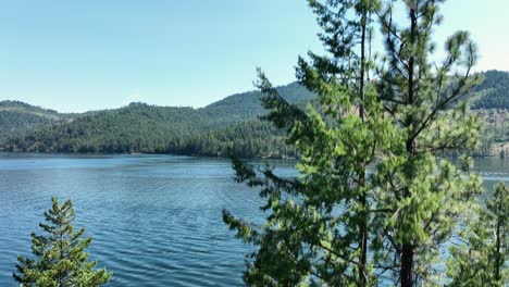 Un-Dron-Se-Eleva-Detrás-De-Los-árboles-Para-Revelar-El-Lago-Spirit,-Idaho