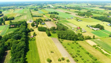 Village-Field-and-forest-in-wild-on-sunrise