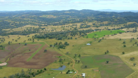 paisaje australiano de sobrevuelo de drones aéreos de 4k con campos de avena verde
