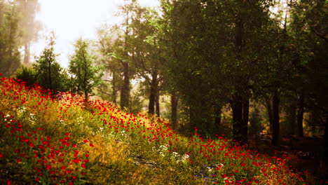 hermoso paisaje panorámico del valle de las montañas de los pirineos
