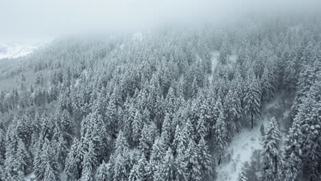 slow aerial shot overhead a snowy mountainside forest with dense fog in utah