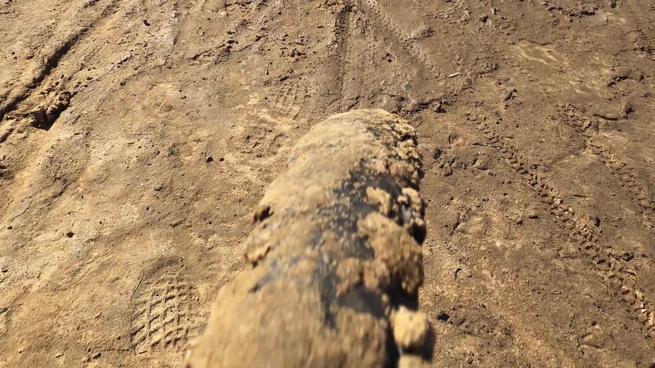 진흙투성이의 앞바퀴에 초점을 맞춰 늪지대를 달리는 산악자전거