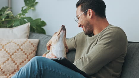 Young-man-with-dog-pet-on-sofa-in-his-living-room