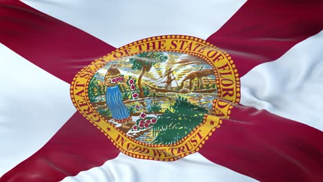 florida (u.s. state) flag waving in the wind with highly detailed fabric texture. seamless loop