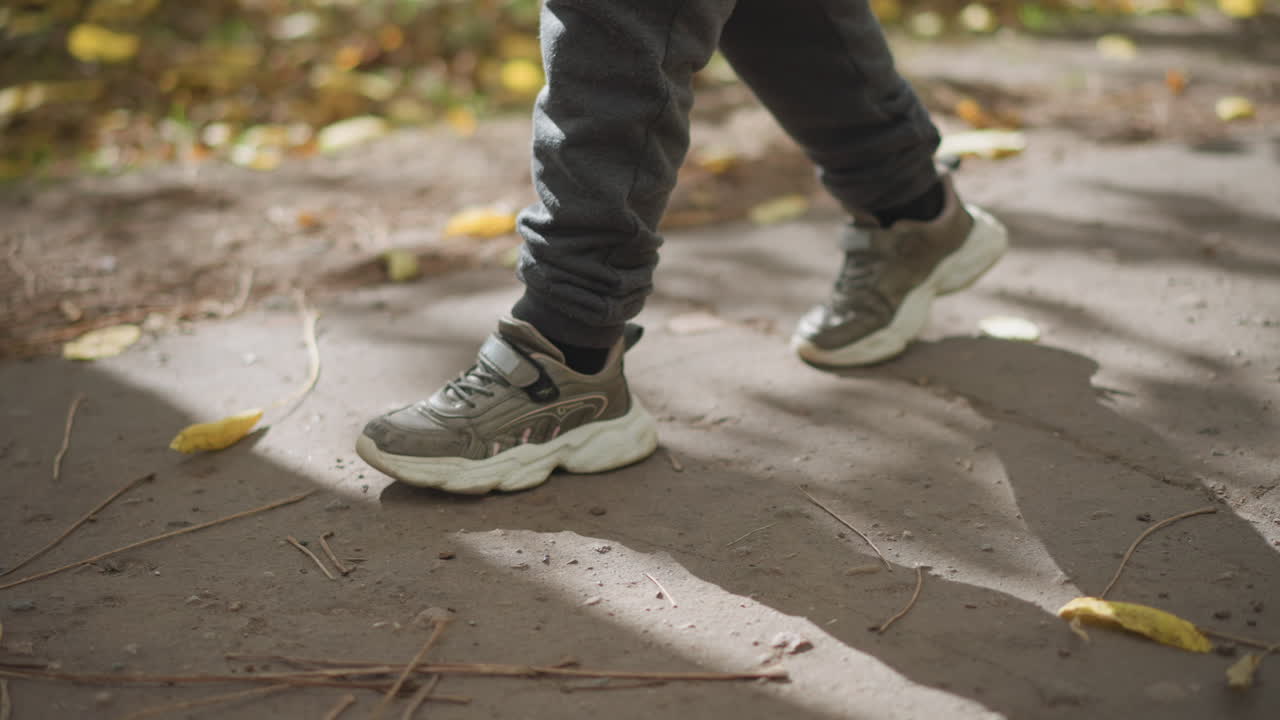 side view of person walking on leaf strewn path casting long shadow on ground beside scattered dry leaves under soft sunlight in autumn park capturing motion and seasonal atmosphere in calm setting