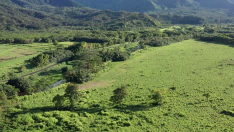 low tilting up aerial shot of the dramatic mountains on the hawaiian island of kaua'i