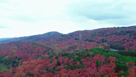 5G-cell-tower-in-middle-of-forest,-fall-season