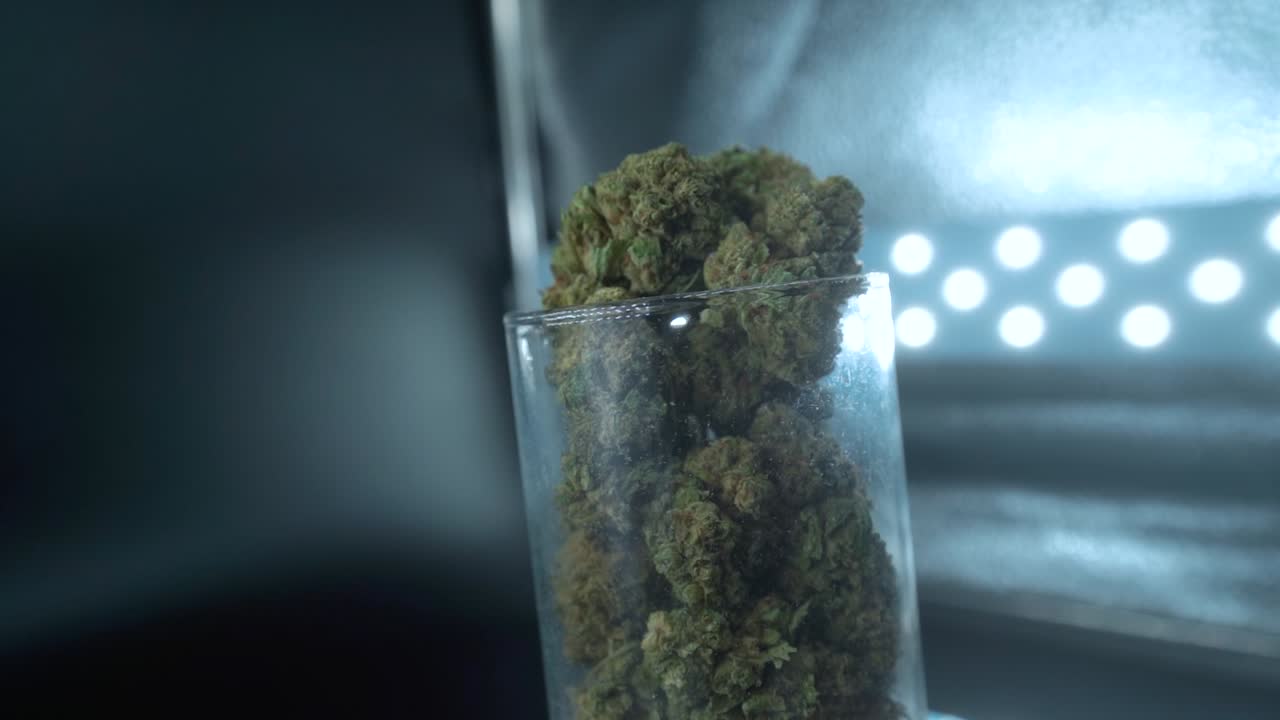A close up detailed shot of a cannabis plant, marijuana flower, hybrid strains, Indica and sativa, on a 360 rotating stand in a shiny glass, 120 fps slow motion Full HD, pro cinematic studio lighting