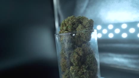 un primer plano detallado de una planta de cannabis, flor de marihuana, cepas híbridas, indica y sativa, en un soporte giratorio de 360 en un vidrio brillante, cámara lenta de 120 fps en alta definición, iluminación de estudio cinematográfico profesional