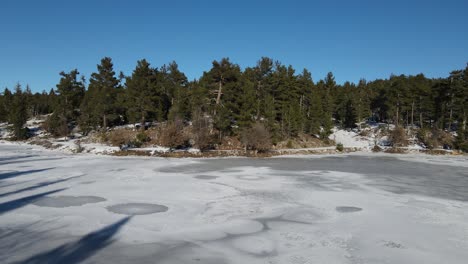 Frozen-Lake-In-Forest