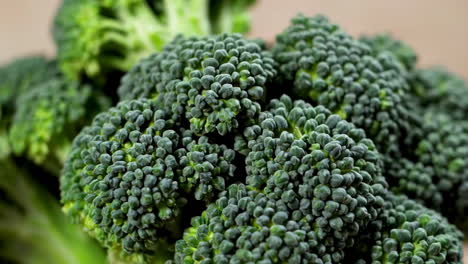 primer plano de brócoli